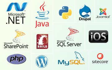 Custom Application Development