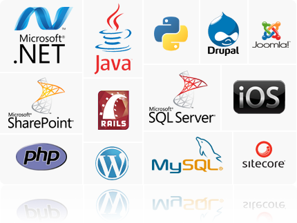 Custom Application Development